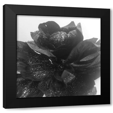 Black Rose Gold Black Modern Wood Framed Art Print with Double Matting by Phillip, Jamie