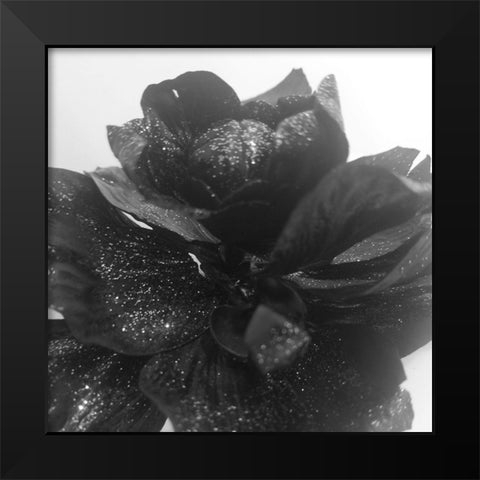 Black Rose Gold Black Modern Wood Framed Art Print by Phillip, Jamie