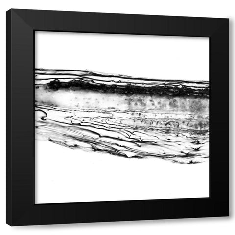 Spoken Intention 1 Black Modern Wood Framed Art Print with Double Matting by Phillip, Jamie