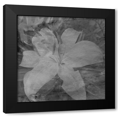 Love in The Garden 4 Black Modern Wood Framed Art Print by Phillip, Jamie