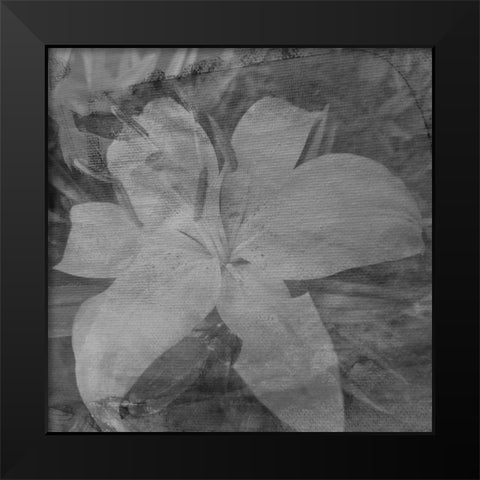 Love in The Garden 4 Black Modern Wood Framed Art Print by Phillip, Jamie
