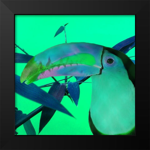 Toucan Glow Black Modern Wood Framed Art Print by Phillip, Jamie