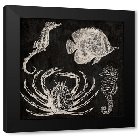 Sea Adventure Black Modern Wood Framed Art Print by Phillip, Jamie