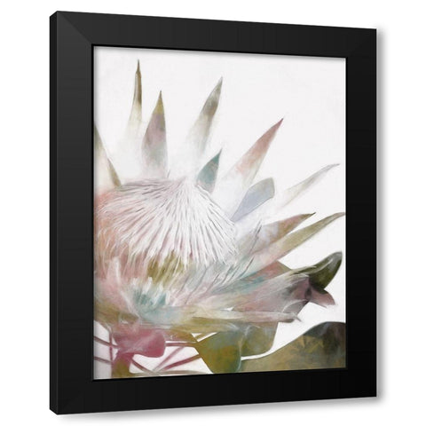 Sugar Bush I Black Modern Wood Framed Art Print by Urban Road