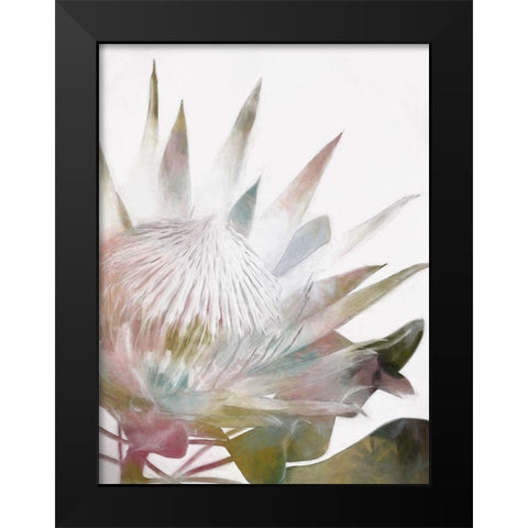 Sugar Bush I Black Modern Wood Framed Art Print by Urban Road