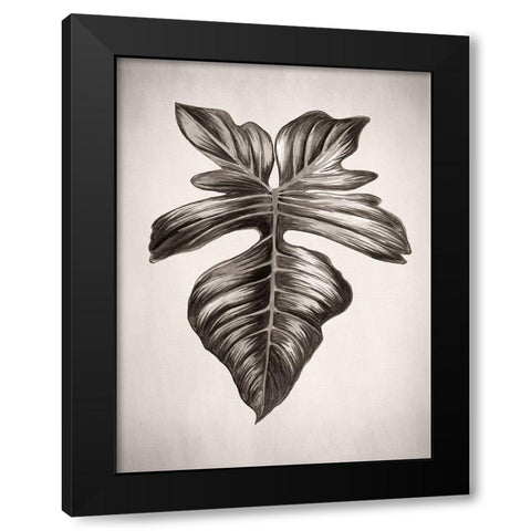 Verdure III Sepia Black Modern Wood Framed Art Print with Double Matting by Urban Road