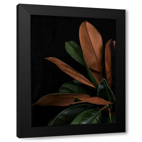 New Leaf  Black Modern Wood Framed Art Print by Urban Road