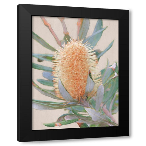 Golden Banksia Art Print Black Modern Wood Framed Art Print by Urban Road