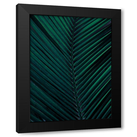 Shade II Black Modern Wood Framed Art Print with Double Matting by Urban Road