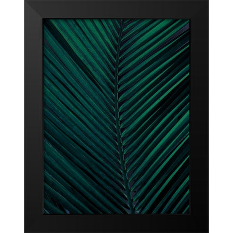 Shade II Black Modern Wood Framed Art Print by Urban Road