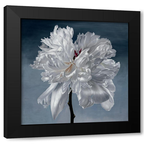 Blomst Black Modern Wood Framed Art Print with Double Matting by Urban Road