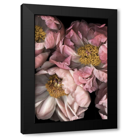 Hopeful II Black Modern Wood Framed Art Print by Urban Road