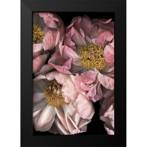 Hopeful II Black Modern Wood Framed Art Print by Urban Road