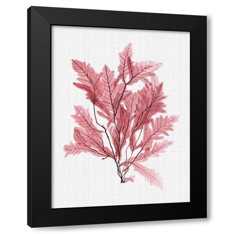 Aruba Blush Poster Black Modern Wood Framed Art Print with Double Matting by Urban Road