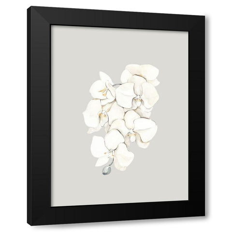 Beige Lilies Poster Black Modern Wood Framed Art Print with Double Matting by Urban Road