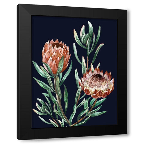 Dark Proteas I Poster Black Modern Wood Framed Art Print with Double Matting by Urban Road