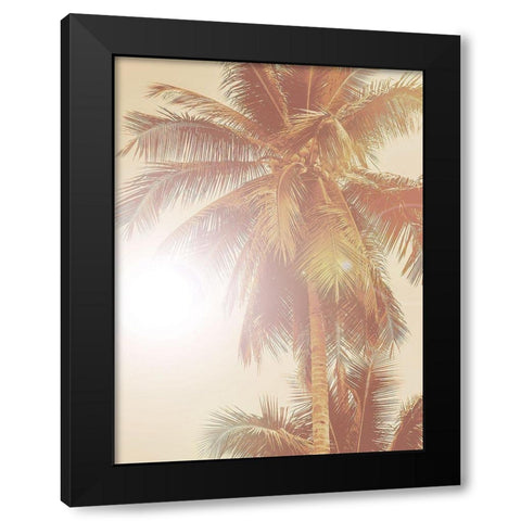 Sunkissed Palm Poster Black Modern Wood Framed Art Print with Double Matting by Urban Road