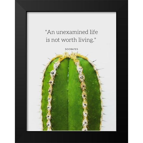 Socrates Quote: Unexamined Life Black Modern Wood Framed Art Print by ArtsyQuotes