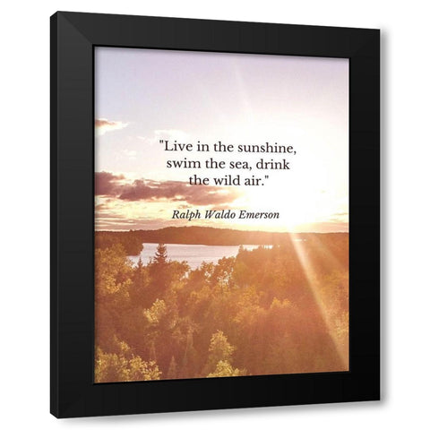 Ralph Waldo Emerson Quote: Swim the Sea Black Modern Wood Framed Art Print with Double Matting by ArtsyQuotes