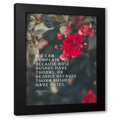 Abraham Lincoln Quote: Bushes have Thorns Black Modern Wood Framed Art Print with Double Matting by ArtsyQuotes