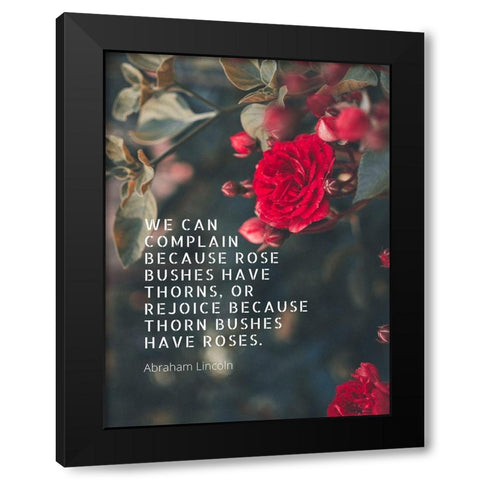 Abraham Lincoln Quote: Bushes have Thorns Black Modern Wood Framed Art Print by ArtsyQuotes
