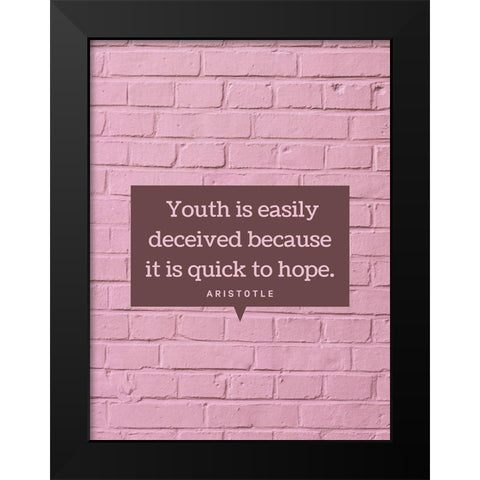 Aristotle Quote: Youth Black Modern Wood Framed Art Print by ArtsyQuotes