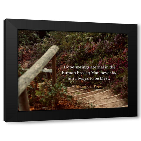 Alexander Pope Quote: Hope Springs Eternal Black Modern Wood Framed Art Print with Double Matting by ArtsyQuotes