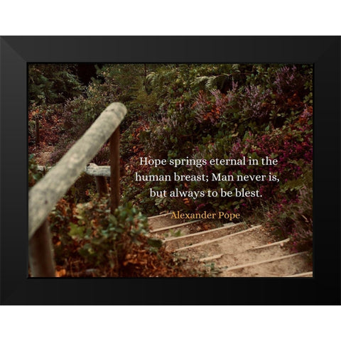 Alexander Pope Quote: Hope Springs Eternal Black Modern Wood Framed Art Print by ArtsyQuotes