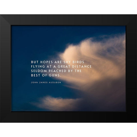 John James Audubon Quote: Shy Birds Flying Black Modern Wood Framed Art Print by ArtsyQuotes