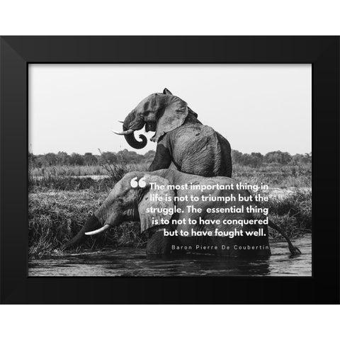 Baron Pierre De Coubertin Quote: Life is Not to Triumph Black Modern Wood Framed Art Print by ArtsyQuotes