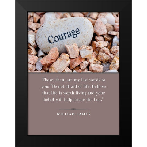William James Quote: Not Afraid of Life Black Modern Wood Framed Art Print by ArtsyQuotes