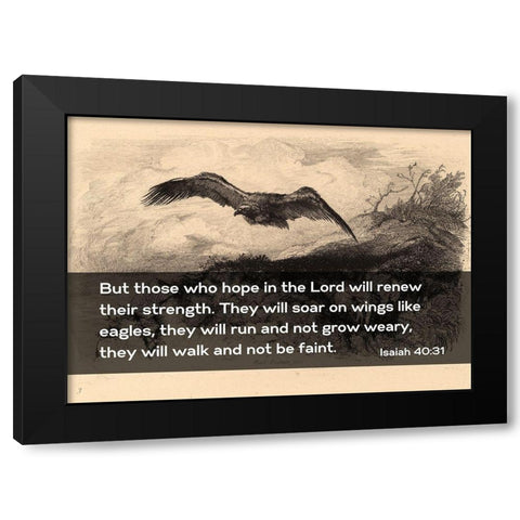 Bible Verse Quote Isaiah 40:31, Karl Bodmer - Eagle Flying Black Modern Wood Framed Art Print with Double Matting by ArtsyQuotes