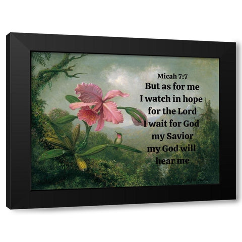 Bible Verse Quote Micah 7:7, Martin Johnson Heade - Orchid and Hummingbird Black Modern Wood Framed Art Print by ArtsyQuotes