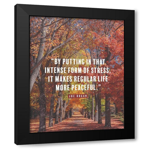 Joe Rogan Quote: Regular Life Black Modern Wood Framed Art Print with Double Matting by ArtsyQuotes