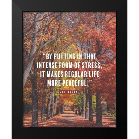 Joe Rogan Quote: Regular Life Black Modern Wood Framed Art Print by ArtsyQuotes