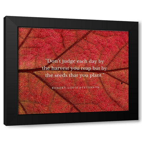 Robert Louis Stevenson Quote: Dont Judge Each Day Black Modern Wood Framed Art Print with Double Matting by ArtsyQuotes