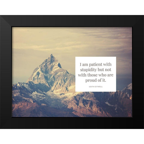 Edith Sitwell Quote: Patient with Stupidity Black Modern Wood Framed Art Print by ArtsyQuotes