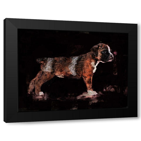 Black Pup Black Modern Wood Framed Art Print with Double Matting by Wiley, Marta