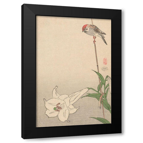 Small bird on lily plant., 1893 Black Modern Wood Framed Art Print by Baison