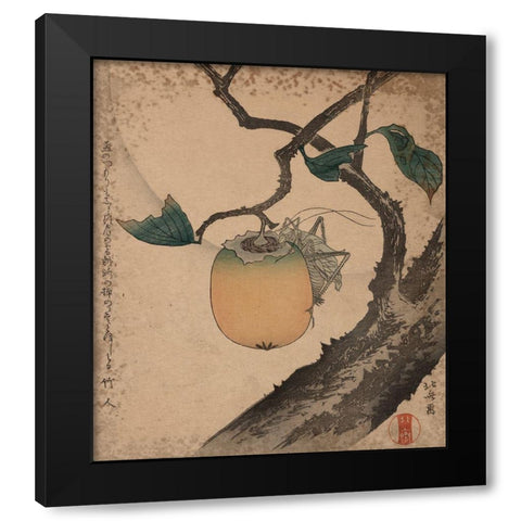 Grasshopper eating persimmon, 1850 Black Modern Wood Framed Art Print with Double Matting by Hokusai