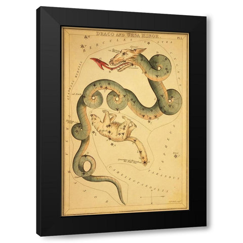 Draco and Ursa Minor, 1825 Black Modern Wood Framed Art Print by Aspin, Jehoshaphat