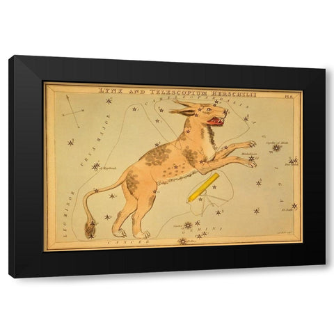 Lynx and Telescopium Herschilii, 1825 Black Modern Wood Framed Art Print with Double Matting by Aspin, Jehoshaphat