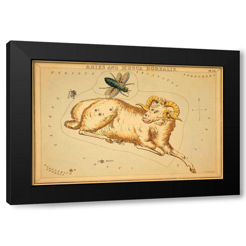 Aries and Musca Borealis, 1825 Black Modern Wood Framed Art Print with Double Matting by Aspin, Jehoshaphat