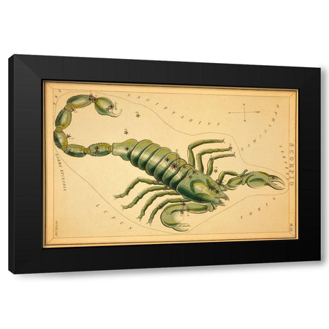 Scorpio, 1825 Black Modern Wood Framed Art Print by Aspin, Jehoshaphat