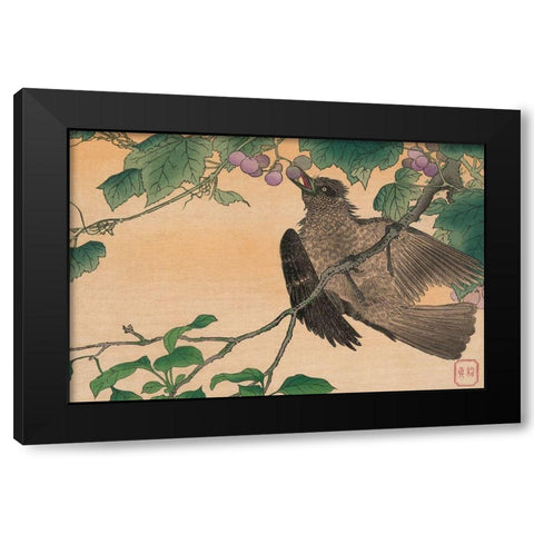 Bird Eating a Grape Black Modern Wood Framed Art Print by Kesai, Kuwagata