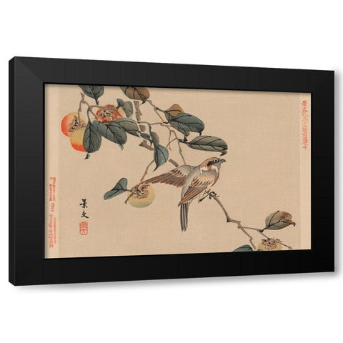Bird perched on a branch from a fruit persimmon tree., 1892 Black Modern Wood Framed Art Print with Double Matting by Matsumura, Keibun