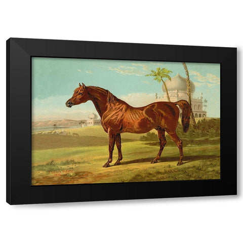 Goldie Arab, 1900 Black Modern Wood Framed Art Print by Sidney, Samuel