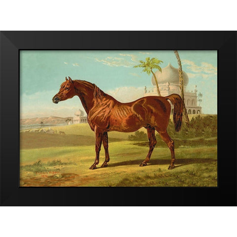 Goldie Arab, 1900 Black Modern Wood Framed Art Print by Sidney, Samuel