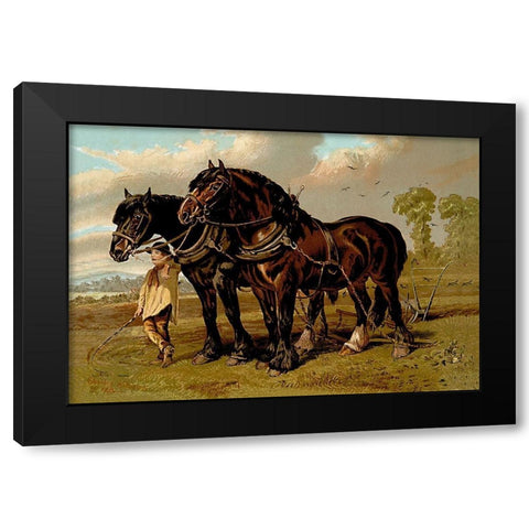 Clydesdale Stallion and Mare, 1900 Black Modern Wood Framed Art Print with Double Matting by Sidney, Samuel