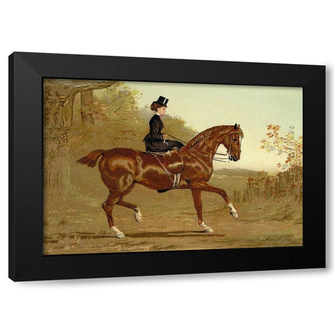Book of the Horse, 1900 Black Modern Wood Framed Art Print with Double Matting by Sidney, Samuel